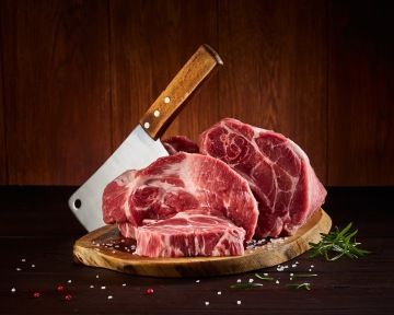 Photographer Czechia